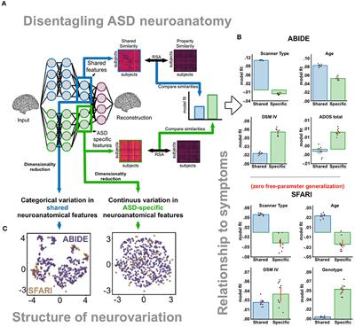 Disentangling disorder-specific variation is key for precision psychiatry in autism